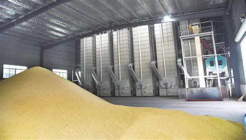 ���ē���:�Zʳ��əC�F(xi��n)��l(f��)չǰ��