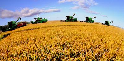 今秋大農機馬力全開 機械收獲秸稈還田深松整地 m.www85165.cn